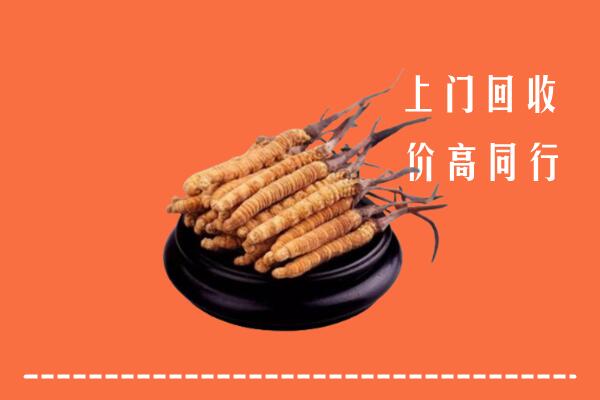 附近收购：维西县冬虫夏草回收多少钱每克